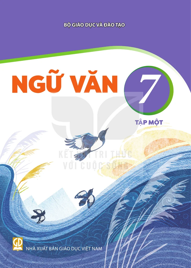 Bộ Sách Giáo Khoa Lớp 7 – Theo Chương Trình Giáo Dục Mới